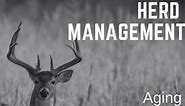 Whitetail Deer Herd Management-Aging Jawbones
