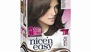 Clairol Nice 'N Easy Color Blend Foam Hair Color 5a Medium Ash Brown 1 Kit (packaging may vary)