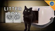 You’re Setting Up Your Litter Box All Wrong!