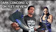 Air Jordan 12 Retro Dark Concord On Feet Review (CT8013 005) #jordan12s