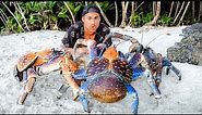 Exploring For Giant Coconut Crabs - Are They Man Eaters?