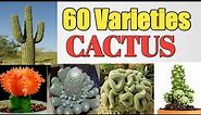 60 Varieties of Cactus Plants with names | Cactus Kinds | Plant and Planting