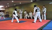 Sparring taekwondo ATA