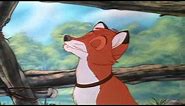 Animash- The Fox