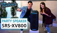 XV800 Portable Bluetooth® Wireless Party Speaker: 3 Things to Know on The Lowdown