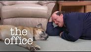 Kevin's Dog - The Office US