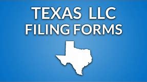 Texas LLC - Formation Documents