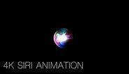 4K Siri Visual Animation 5 Minutes