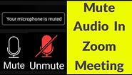 How to Mute/Unmute Audio in Zoom Meeting