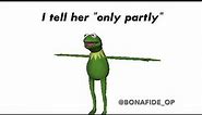 She say do you love me I tell her only partly | God's Plan meme (Kermit Version)