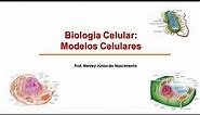 Biologia Celular 02 -Modelos Celulares