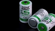 elxjar (10-Pack) 3.6V 1/2AA LS14250 Lithium for SAFT Water Meter Electricity Meter Gas,ER14250 Batteries