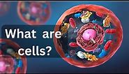 what are cells in human body|| what are cells made of|| What are cells?