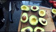 How to avoid rotten avocados!