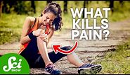 Why We Feel Pain, and How We Kill it | A Look at Pain & Painkillers