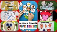 Five Senses Craft Ideas For Kids | Sense Organs | Sense Organs Puppets | Kinderport