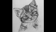 How To Draw A Realistic Cat Easy Step By Step