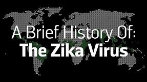 A Brief History Of: The Zika Virus