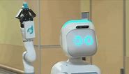 Rochester General, Unity hospitals introduce new 'Moxi' robots