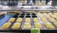 Delta Robot Picking Cakes into Trays, Robotic Packaging Solution for Picking Cake Products