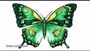animated butterfly pictures