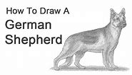 How to Draw a Dog (German Shepherd)