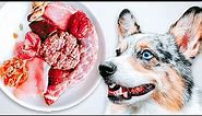 How To Raw Feed Your Dog (Ultimate Beginner's Guide 2023)