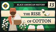 The Rise of Cotton: Crash Course Black American History #13