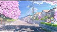 Cherry Blossom🌸🌸 Awesome live Wallpaper