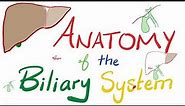 Anatomy of the Biliary System 🤮 | Quick Review