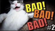 Talking Kitty Cat 66 - BAD! BAD! BAD! #2