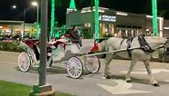 Carriage Ride at UTC Christmas Light Show — Sarasota, FL