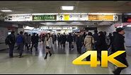 Walking around in Shinjuku Station - Tokyo - 新宿駅 - 4K Ultra HD