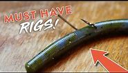 Bass Fishing 101: 5 Bass Fishing Rigs You NEED to KNOW!!