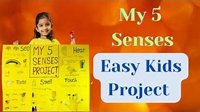 My 5 Senses Project | Preschool Kindergarten Easy School Project | Human Senses Project For Kids