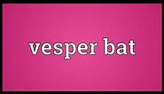 Vesper bat Meaning