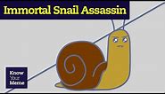 What is the Immortal Snail Assassin Meme?