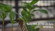 Sony FDR-AX700 4K- Rain PP10 HLG