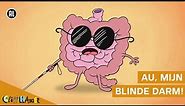 Wat is een blindedarmontsteking?
