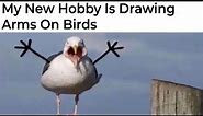 Memes About Drawing