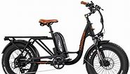 Addmotor Cargo Electric Bike, 105 Miles Range Electric Bicycle, 750W 48V 20AH Removable Samsung Battery UL Certified, Fat Tire Ebike for Adults, Shimano 7 Speed, M-81 Black