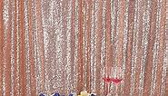 Eternal Beauty Champagne Blush Sequin Wedding Backdrop Photography Background Party Curtain, 6Ft X 6Ft