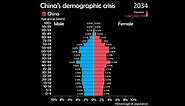 Animated Chart: China’s Aging Population (1950-2100)