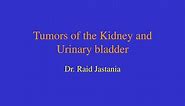 PPT - Tumors of the Kidney and Urinary bladder PowerPoint Presentation - ID:211629