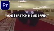 How to do the Wide Putin Walking Meme Effect (Adobe Premiere Pro CC Editing Tutorial)