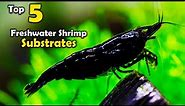 Top 5 Aquarium SUBSTRATES for Freshwater Shrimp - How to Breed Shrimp
