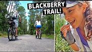 Florida Biking Trails | Lehigh Greenway Rail Trail (& Wild Blackberries!)