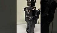 Strenco Steam Robot - live steam