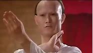One of my favourite movie... - Grandmaster Ip Man - Wing Chun