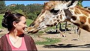 Becoming A ZOO KEEPER at San Diego Zoo!! 🦒